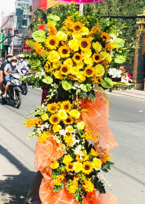 hoa khai truong go vap