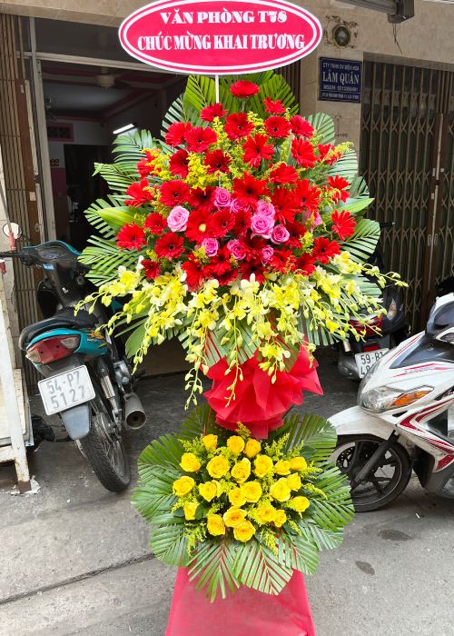 hoa khai truong tan binh