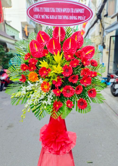 Hoa khai trương tân bình